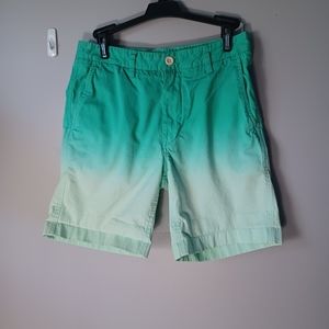 Vineyard Vines Men's Shorts Green size 28